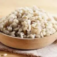 Barley