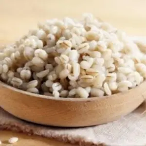 Barley