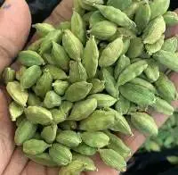 Green Cardamom