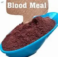 Feed Grade Blood Meal 80%