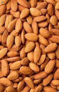 Almonds Nut/Top Grade Almond Nuts
