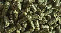 Best Grade Alfalfa Hay Pellets