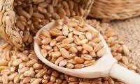 High Quality Wheat