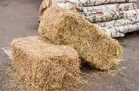 High Quality Straw Hay