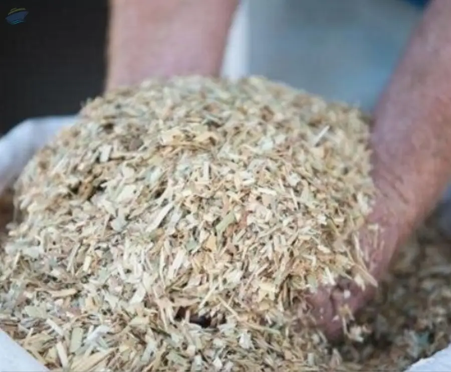 Wheaten Chaff
