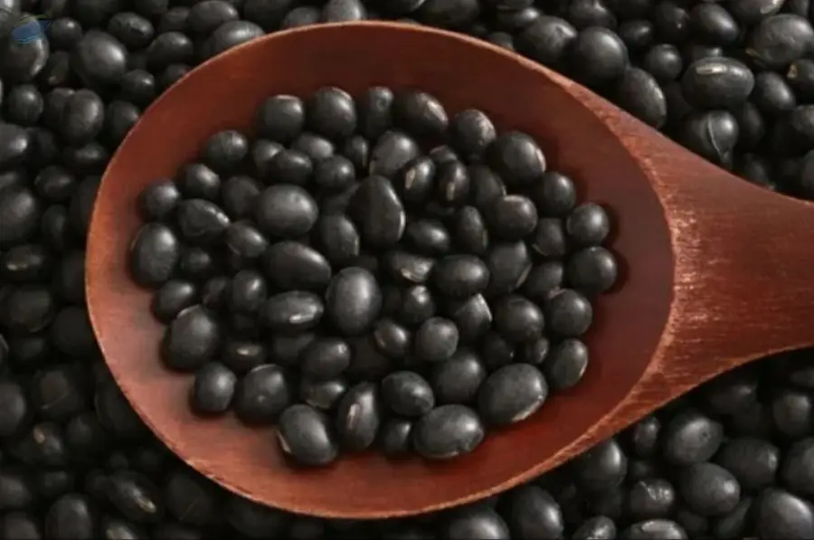 Black Soya Beans by Amaggi. Supplier from South Africa. Product Id 1706301.