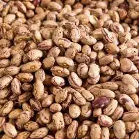 Borlotti Beans