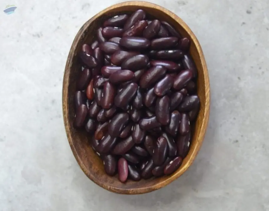 Dark Red Kidney Beans