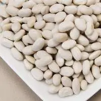 Great Northern Beans