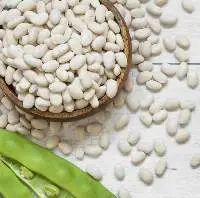 Haricot Beans