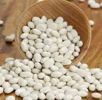 Haricot Beans Navy