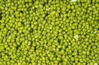 Mung Beans