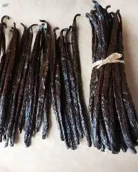 Premium Vanilla Pods