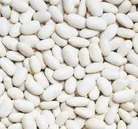 White Kidney Beans
