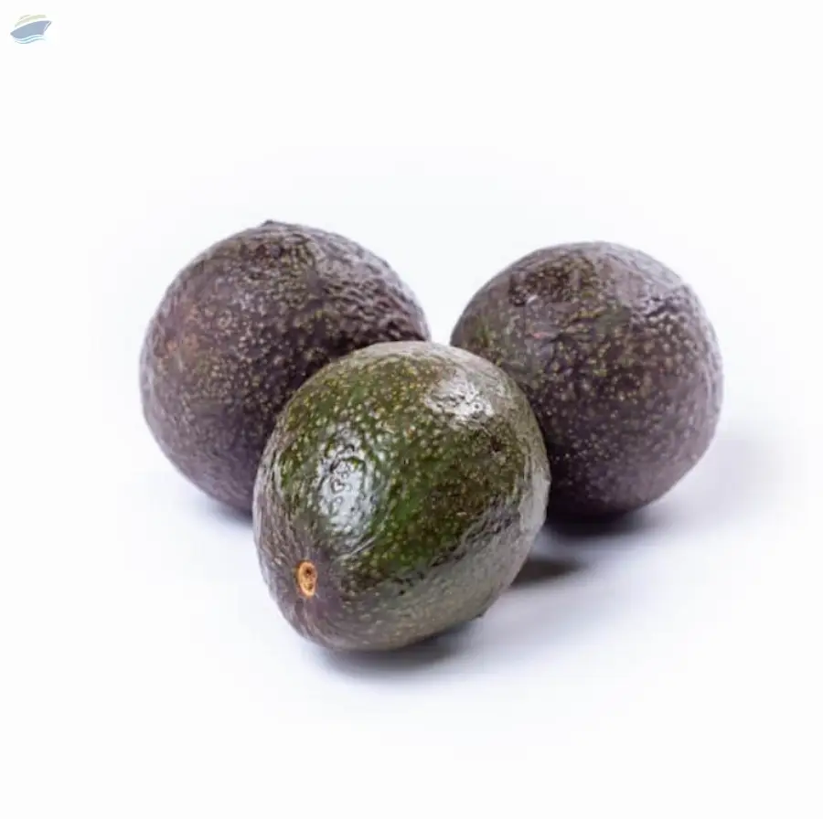 Avocado Pc