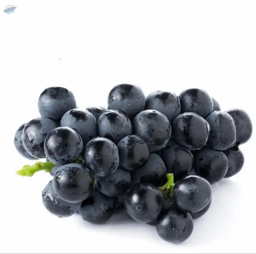 Black Grapes