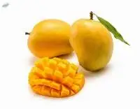 Dev Alphonso Mango