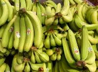 ORGANIC BANANA