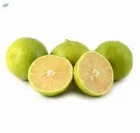Organic Lemon Bergamot