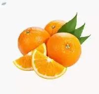 Organic Seville Orange