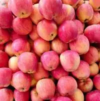 Pink Lady Apple