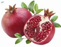 POMEGRANATE