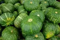 Pumpkin Per Kg
