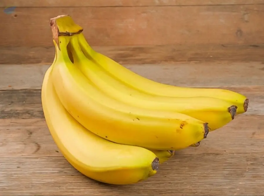 Real Foods Organic Banana