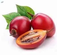 Tree Tomatoes Per Kg