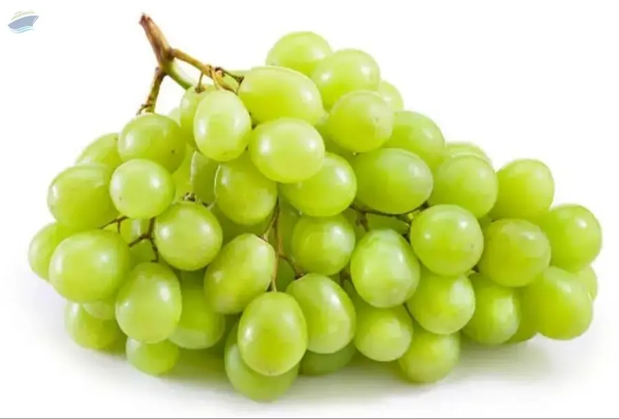 WHITE Grapes