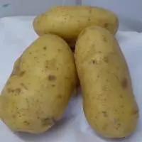 Baker Potato