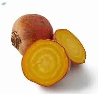 Beetroot Golden