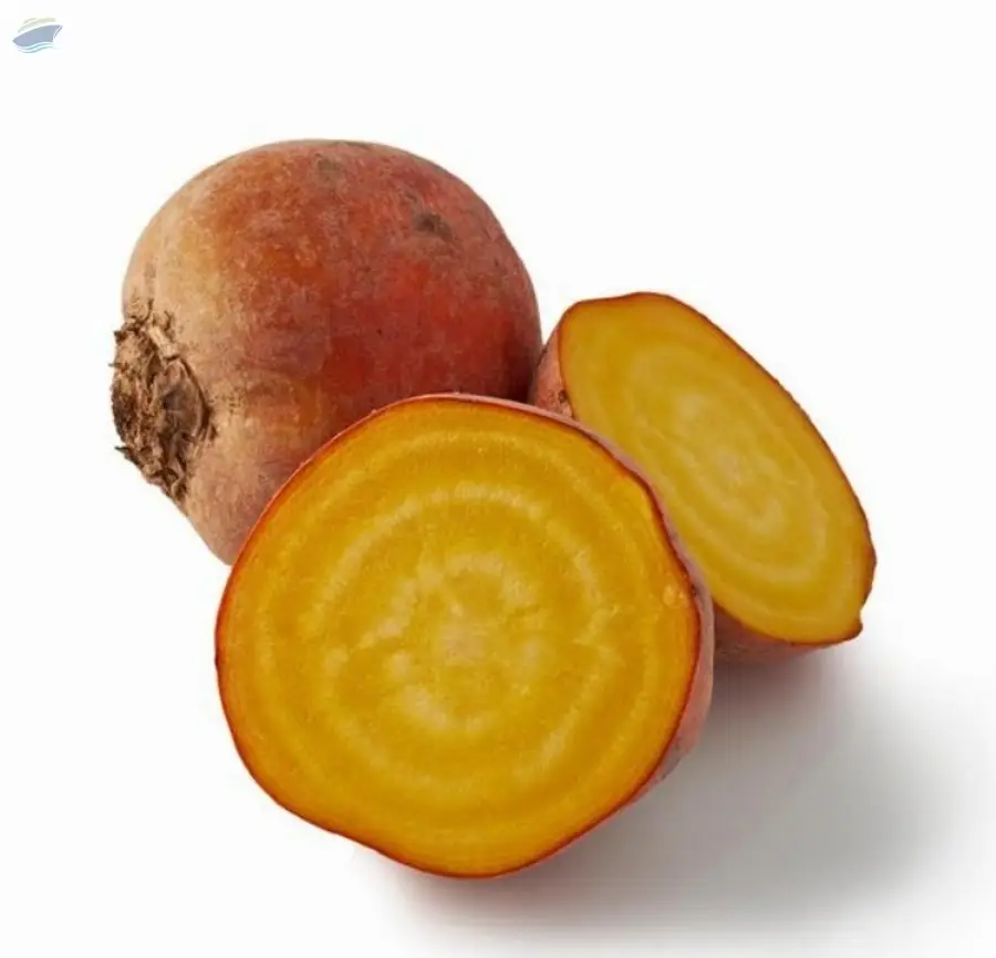 Beetroot Golden