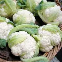 Cauliflower Uk