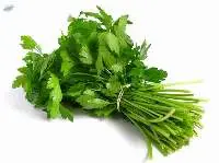 Dhania Per Bunch