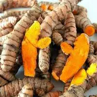 Fresh Turmeric