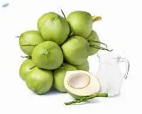 Fresh Tender Coconut Medium, 21 Pc