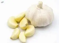 Fresh Garlic