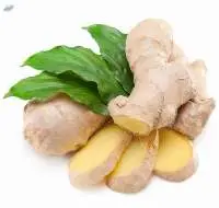 Fresh Ginger 