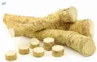 Horseradish Root