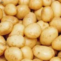 Marfona Potato