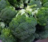 Organic Broccoli