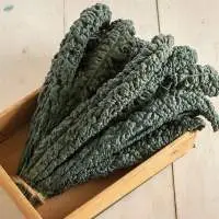Organic Kale Black 1pack