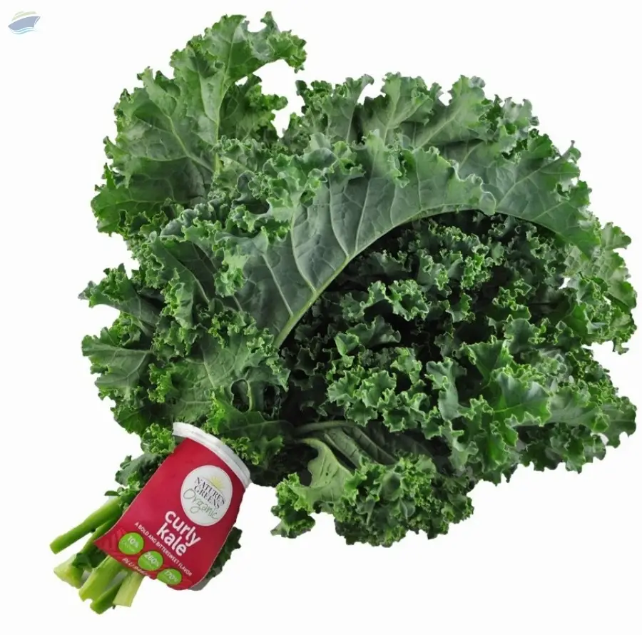 Organic Kale Green