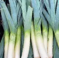 Organic Leeks
