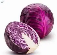 Organic Red Cabbage Uk
