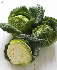 Organic Savoy Cabbage
