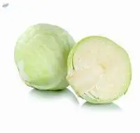 Organic White Cabbage Uk