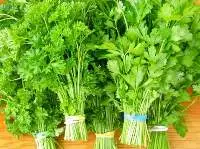 Parsley  