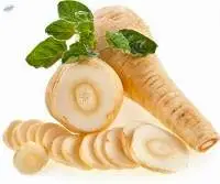Parsnip